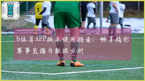 b体育APP版本使用指南：畅享精彩赛事直播与数据分析