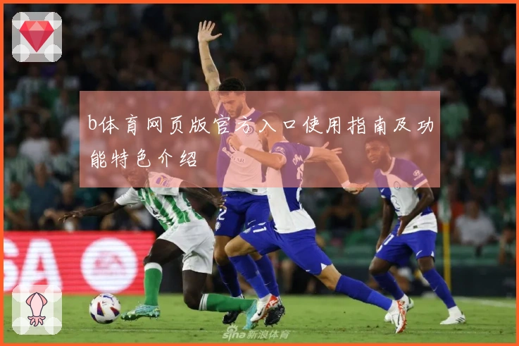 b体育网页版官方入口使用指南及功能特色介绍