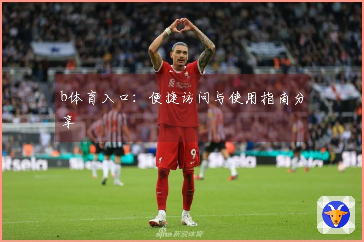 b体育入口：便捷访问与使用指南分享