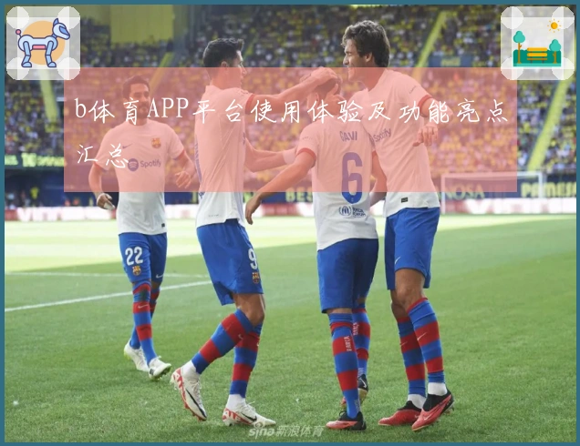 b体育APP平台使用体验及功能亮点汇总
