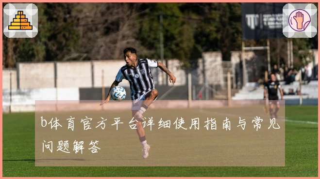 b体育官方平台详细使用指南与常见问题解答