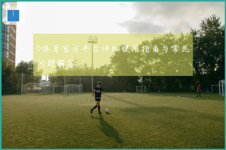 b体育官方平台详细使用指南与常见问题解答