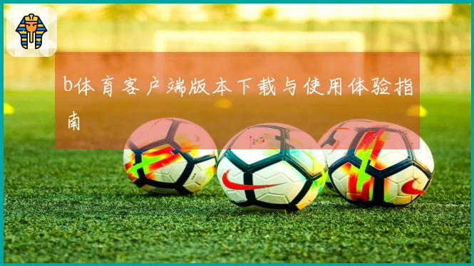 b体育客户端版本下载与使用体验指南